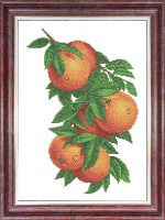 Ветка с апельсинами- Канва с нанесенным рисунком для вышивки крестом 23х30 см
